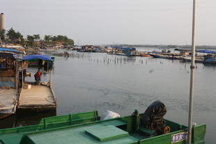 湛江水上码头景象