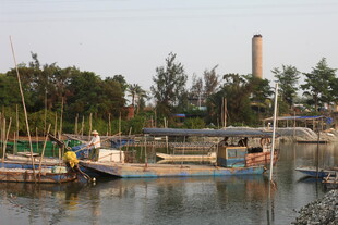 湛江宁静河畔停泊的多彩船只