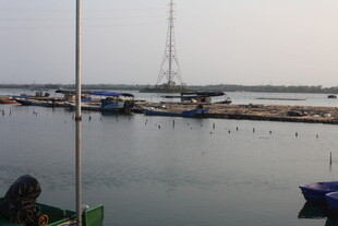 湛江海港码头船只景象