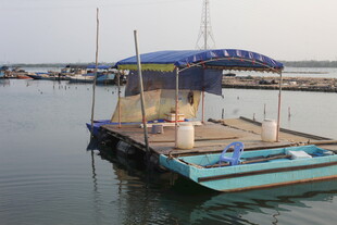 湛江水上停泊的蓝色休闲船