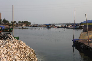 湛江宁静河畔停泊的船只