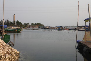 湛江宁静港湾停泊多艘船只