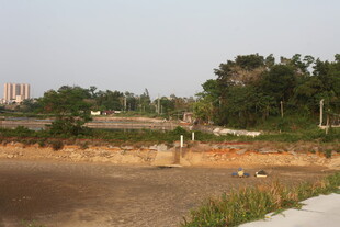 湛江城郊空地景观