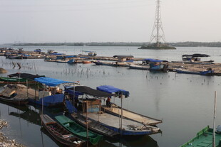 湛江宁静港湾停泊多彩船只