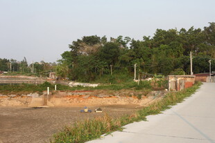 湛江乡村路旁的空旷田地