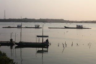 湛江黄昏湖畔停泊的船只