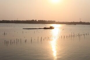 湛江夕阳下湖面的静谧小船