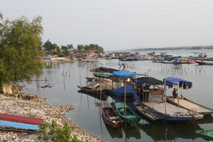 湛江宁静水边停泊的多彩船只