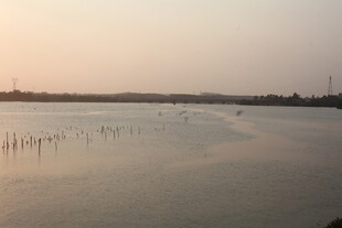 湛江黄昏下的宁静水域景观