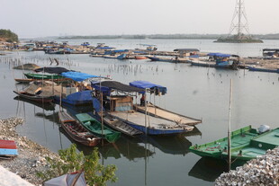 湛江宁静港湾中的停泊船只