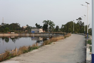 湛江湖畔步道风光
