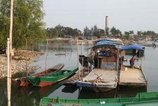 湛江宁静河畔停泊的多彩船只