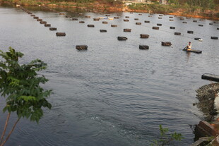 湛江水上养殖场景
