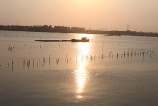 湛江夕阳下的水上养殖场景