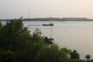 湛江湖畔风光 绿树碧水间景致