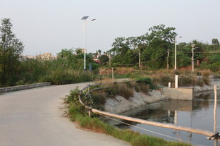 湛江乡村路旁的宁静水景
