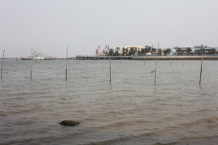 湛江海边水域养殖场景