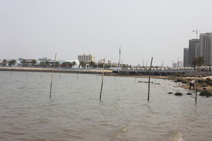 湛江城市边缘的水域景观