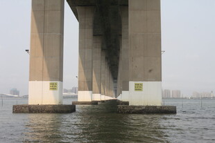 湛江桥梁底部近景