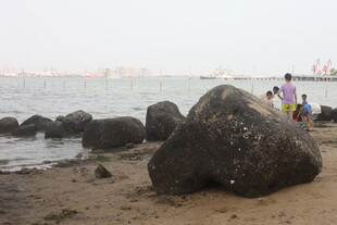 湛江海边大石旁的悠闲场景