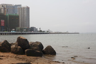 湛江海边礁石与远处高楼风景