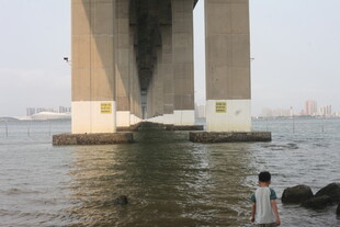 湛江桥下观水的人