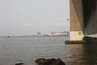 湛江桥下江畔风景