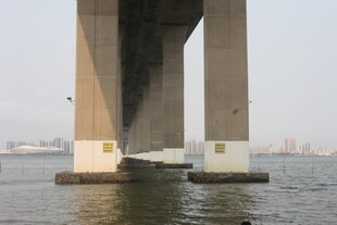 湛江桥下视角的壮阔桥梁景观