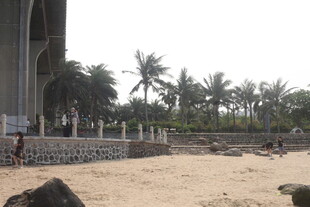 湛江沙滩旁的建筑与棕榈树