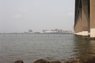 湛江海边桥梁下的水域景观