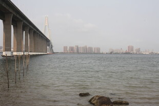 湛江海上大桥与远处城市景观