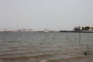 湛江海滨风光 水面与远处建筑