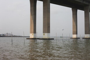 湛江桥下水面景象