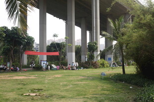 湛江桥下绿地休闲场景