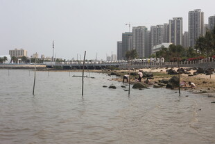 湛江海滨城市临水景观