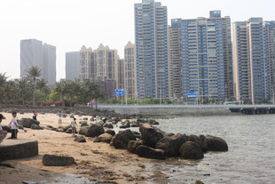 湛江海滨城市风光 沙滩与高楼