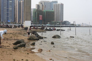湛江城市边的海滨沙滩景象