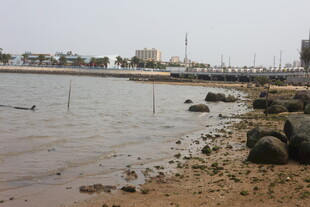 湛江海边岸景 礁石点缀水域