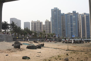 湛江城市旁的开阔沙地场景