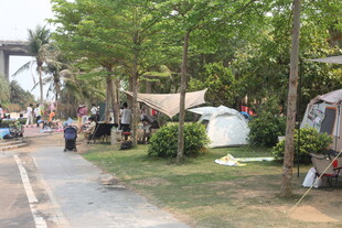 湛江户外露营场景中的休闲时光