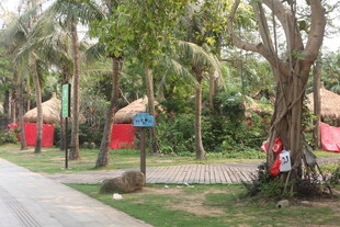 湛江热带风情休闲户外场景