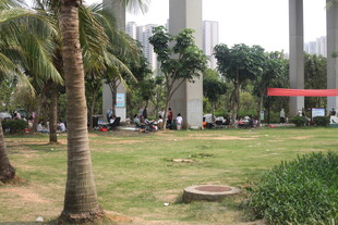 湛江城市公园中的休闲景致