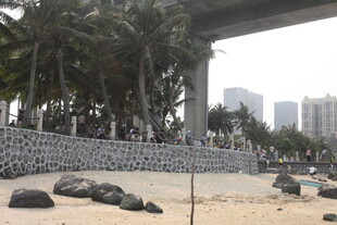 湛江桥下沙滩景观