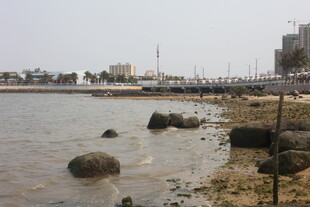 湛江海滨岸边礁石与城市景观