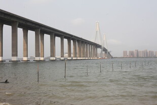 湛江跨海大桥横跨海面