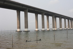 湛江海上大桥横跨水面景观