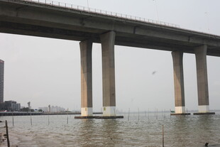 湛江海上大桥壮观景象