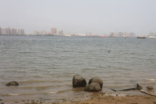 湛江海边岸滩景象