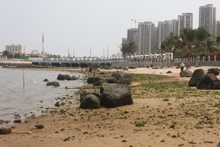 湛江海滨岸滩景象