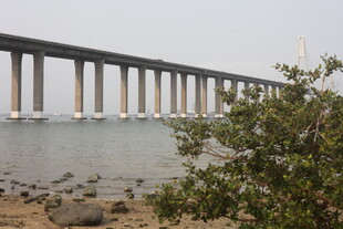 湛江海边长桥与岸边绿植景观